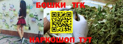 гашик Аргун
