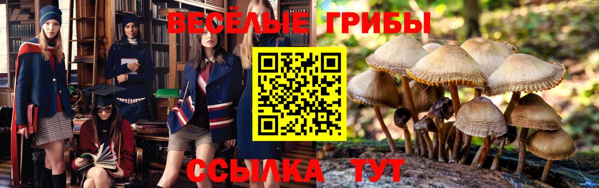 Псилоцибиновые грибы Magic Shrooms  Псилоцибиновые грибы прущие грибы  Борзя  Вход с VPN 